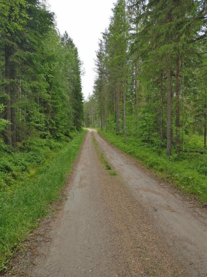 Laehderinne - 2 Bedroom Log Cabin, Private Beach, Wifi & Sauna * Puolanka